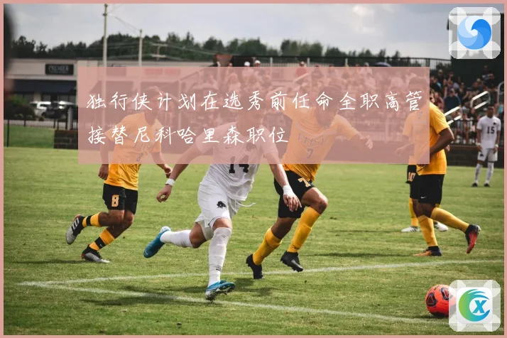 独行侠计划在选秀前任命全职高管接替尼科哈里森职位